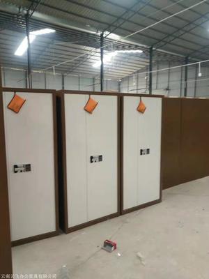 昆明文件柜 保密柜 保險(xiǎn)柜工廠直營 云南云飛辦公家具